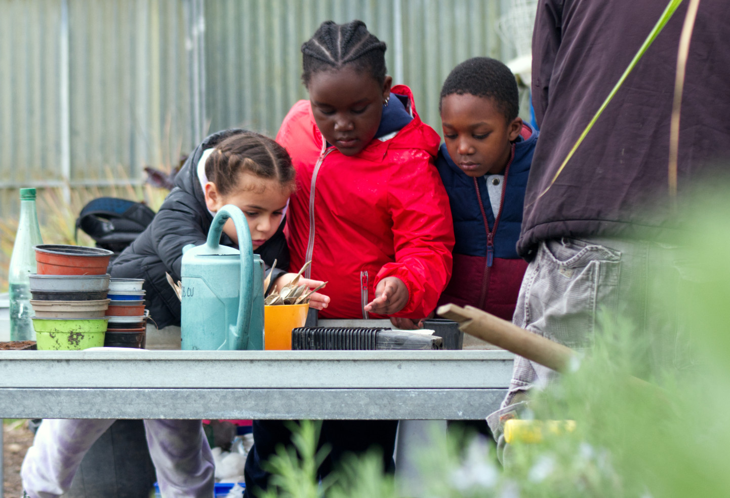 Trois enfants apprennent à planter des graines dans une serre.